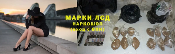молекула духа Покров